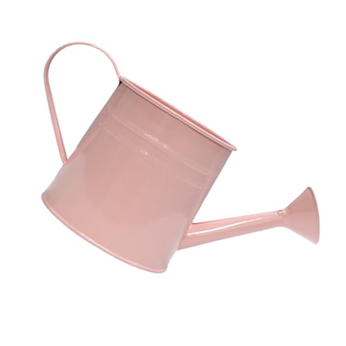 Metallwässerung Können Stilvolle Metallgaserflasche Einzigartige Pflanzenvase Für Home Office Garten Schmücken Vase Metallwässerung Können Stilvolle Metallgaserflasche Einzigartige Pflanzenvase Für Home Office Garten Schmücken Vase von FOLODA