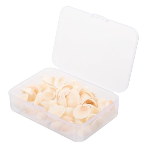 FOMIYES Natürliche Muscheln Für Heimdeko DIY Bastelmaterial Kleine Spiral-Muscheln Zum Verschönern Aquarium-Dekoration Und Füllen Von Vasen von FOMIYES