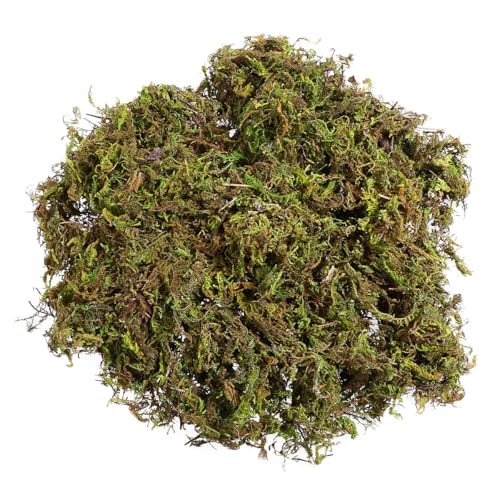 FOMIYES Natürlich Konserviertes Blattmoos – Grüne Moosflechte, 60-g-Beutel für Terrarien, Feengärten, Terrassendekor Und Blumentopfabdeckung von FOMIYES