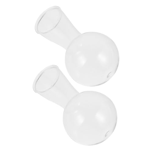 FONDOTIN 2 Stück Glasblumenvase Hydroponische Pflanzvase aus Stabilem Glas Dekorative Gartenvasen für Zimmerpflanzen Orchideen und Wohnraumdekoration von FONDOTIN