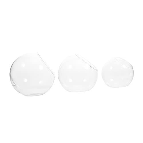 FONDOTIN 3stücke Glas Vasen Für Luftpflanzen-Terrarium Sukkulentenvase Aus Glas Aufbewahrungshalter Für Pflanzen Schräges Terrarium Für Zuhause Und Esszimmer FONDOTIN 3stücke Glas Vasen Für Luftpflanzen-Terrarium Sukkulentenvase Aus Glas Aufbewahrungshalter Für Pflanzen Schräges Terrarium Für Zuhause Und Esszimmer von FONDOTIN