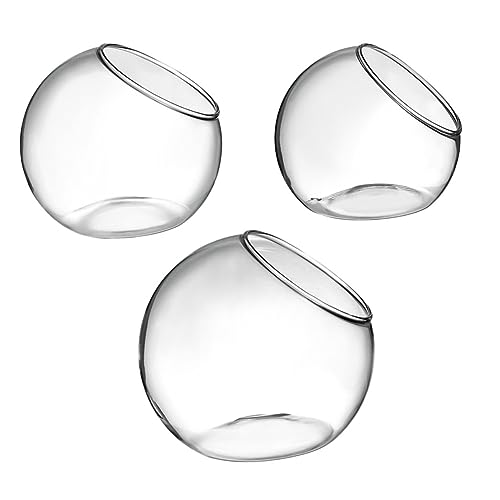 FONDOTIN 3 Stück Teiliges Terrarium Mikrolandschaftsbehälter für Deko für Hochzeiten Haus und Büro Transparent Vielseitig Einsetzbar Kreative Gestaltungsmöglichkeiten von FONDOTIN