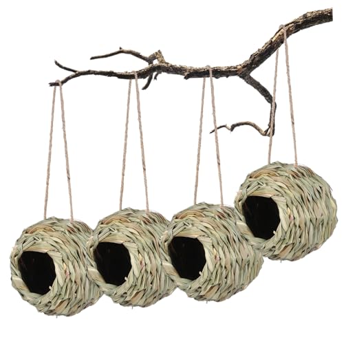 FONDOTIN 4 Stück Teiliges Handgewebte Vogelnester für Käfige Rundes Offenes Design Natürliches Grasgeflecht Geeignet für Kleine Vögel wie Wellensittiche zum Aufhängen im Garten Balkon FONDOTIN 4 Stück Teiliges Handgewebte Vogelnester für Käfige Rundes Offenes Design Natürliches Grasgeflecht Geeignet für Kleine Vögel wie Wellensittiche zum Aufhängen im Garten Balkon von FONDOTIN