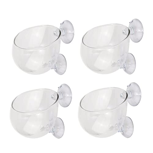 FONDOTIN 4 Stück Teiliges Wasserpflanzen Anzuchtbecken für Aquarien Hochwertiger Glasbehälter Langlebig zur Dekoration und Pflege von Wasserpflanzen im Fischbecken FONDOTIN 4 Stück Teiliges Wasserpflanzen Anzuchtbecken für Aquarien Hochwertiger Glasbehälter Langlebig zur Dekoration und Pflege von Wasserpflanzen im Fischbecken von FONDOTIN