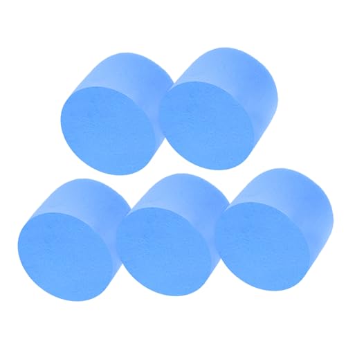 FONDOTIN 5 Stück Teiliges Testrohr Schwamm Feuchtigkeitsspendender Weicher Filter für Ameisenhaltung Sicheres Natur Lernspielzeug und Wissenschaftliches Lehrmittel für Optimalen von FONDOTIN