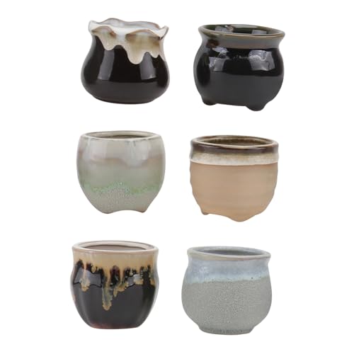 FONDOTIN 6 Stück Kreative Keramik Sukkulenten Blumentöpfe Mandala Muster Für Büro Und Zuhause Keramik Mit Abflussloch Für Sukkulenten Und Kakteen von FONDOTIN