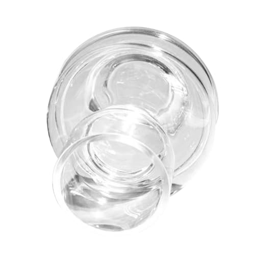 FONDOTIN Delikate Glasvase für Hydroponik Transparente Skandinavische Glasblumenvase Modernes Design Dekorative Tischvase für Zuhause und Büro Eleganter Minimalistischer Stil FONDOTIN Delikate Glasvase für Hydroponik Transparente Skandinavische Glasblumenvase Modernes Design Dekorative Tischvase für Zuhause und Büro Eleganter Minimalistischer Stil von FONDOTIN