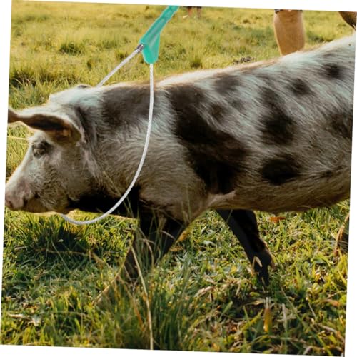 FONDOTIN Edelstahl Schweinefänger mit Ergonomischem Griff Leichter und Robuster Viehfänger für Nutztiere Praktisches Farmzubehör für Schweinefang Einfach zu Bedienen und Tragbar FONDOTIN Edelstahl Schweinefänger mit Ergonomischem Griff Leichter und Robuster Viehfänger für Nutztiere Praktisches Farmzubehör für Schweinefang Einfach zu Bedienen und Tragbar von FONDOTIN