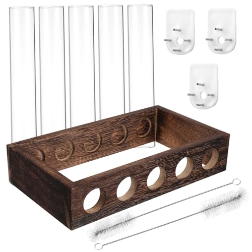 FONDOTIN Glas Propagationsstation mit Testgläsern und Holzständer sowie Reinigungsbürsten und Schadstofffreien Nägeln Hängend Moderner Pflanzenhalter für Zuhause und Büro von FONDOTIN