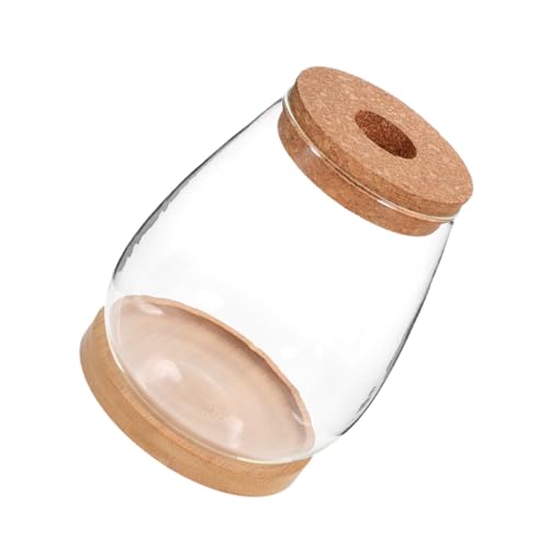 FONDOTIN Glas Terrarium Flaschengarten Transparent DIY Mikro Landschaft Umweltfreundliche Flasche für Hydroponik Pflanzen Dekoration Wohnzimmer Büro Fensterbank von FONDOTIN