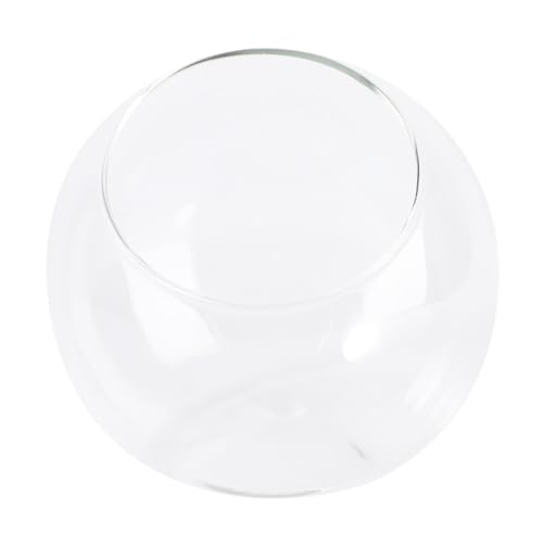 FONDOTIN Landschaft Glasflasche Ø Kleines Terrarium Gefäß Einfache Ökologische Flaschenglas Dekoration für DIY Mikro Landschaften Wohn und Bürodekoration von FONDOTIN