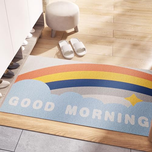FONDUO Fußmatte Außen Regenbogen rutschfeste PVC Rückseite Fussmatte Aussen 40x60cm Türmatte Außen und Innen Fussmatten Haustür Regenbogen Fussabtreter Aussenbereich Lustige Welcome Fußmatte (A) von FONDUO