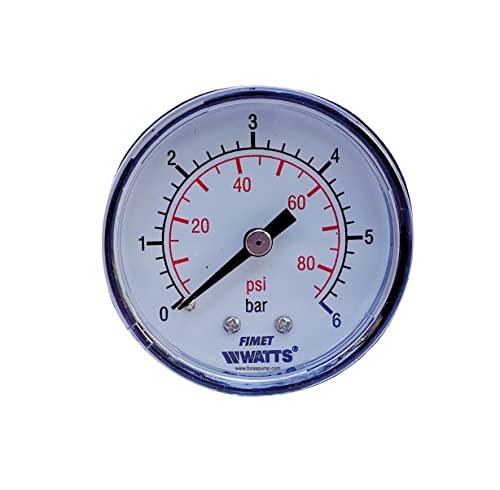 FORAS Manometer DN50, 0-12 bar, R 1/4" Anschluss von hinten, für Industrie, Gase und Flüssigkeiten nicht zähflüssig, nicht aggressiv und nicht kristallisierend von FORAS