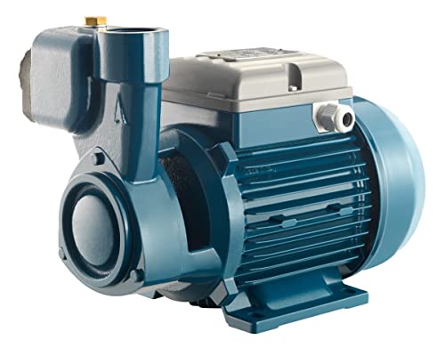 FORAS PE50A selbstansaugende Peripheralpumpe, 230V, 0.37 kW, 40 m, 40 L/min, Pentax, 100% made in Italy FORAS PE50A selbstansaugende Peripheralpumpe, 230V, 0.37 kW, 40 m, 40 L/min, Pentax, 100% made in Italy von FORAS