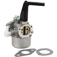Nazalus – Sonderangebot – Ersatzvergaser für Ruichang Briggs & Stratton 696065 Motorhacke inklusive Dichtungssatz von FOREHILL