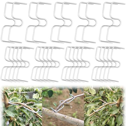 30 Stück Astspreizer für Obstbäume,8/10CM Aststütze für Obstbäume Verzinkt Obstbaum Zweigspanner,Astspreizer Garten für die Regulierung der Wuchsrichtung von Obstbaumzweigen von FORETOGO