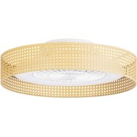 Forlight - Bea Ventilador de techo con luz led. Silencioso. 6 velocidades. Regulador Intensidad y Temperatura de Color. Mimbre. von FORLIGHT