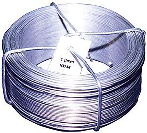 Format 4317784202633 – Drahtspinne Verzinkt 1.2 mm x 100 m von FORMAT