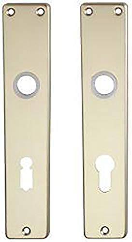 Format 4330816000755 – zi-langschilder Nr. 200 PZ F1 ktg 72 mm von FORMAT