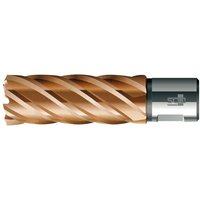 Bds Kernbohrer hss vp lang 22/55mm kbl,bds von FP