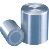 Format - Stabgreifer-Magnet 40x45mm von FORMAT