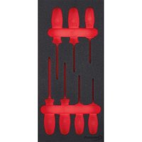 Modul Schraubendr. Torx 1/3 leer Format von FORMAT