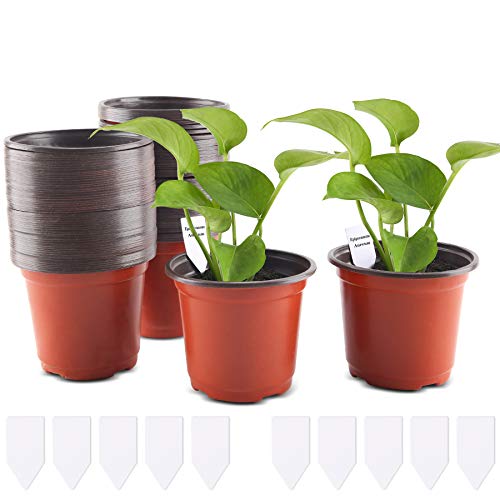 FORMIZON 100 Stück Pflanztöpfe 10 cm Pflanzentöpfe aus Kunststoff mit 10 Steckettiketten, Kunststoff Saattöpfe Runde Töpfe Plastik für Innen und Draußen von FORMIZON