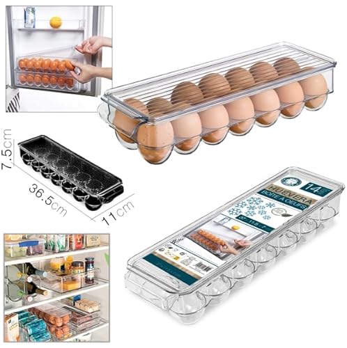 FORNOR 13501 14-EIER-KÜHLSCHRANK-AUFBEWAHRUNGSBOX 36,5 x 11 x von FORNOR