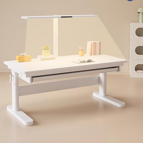FORRTY Höhenverstellbarer Schülerschreibtisch Mit Licht, Manueller Kurbel Schreibtisch, Schreibtisch Zum Schreiben, PC, Home School, Mit Schublade, Regal & Lochwand(Desk,100CM) von FORRTY