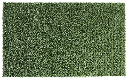 Fußmatte grün, grau, 40x60, 55x90 cm – idealer Fußabstreifer für außen, Grasoptik, robust, leicht zu reinigen, Polyethylen, Bürstenmatte für Eingangstüre, FORTENA (Grün, 60 x 40 cm) von FORTENA