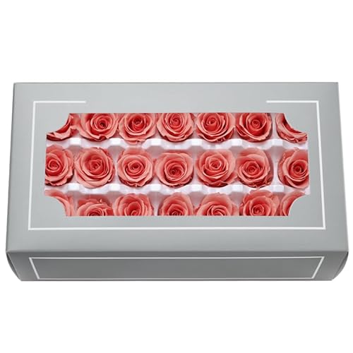 FORTTS A Grade 2-3cm Konservierte Rose, Top Grade Natural Eternal 21 Stück/Box Echte Rosen, Ewige Rose für Muttertag, Valentinstag, Geburtstag, Hochzeit, Zuhause, Party, Dekoration, DIY Essential FORTTS A Grade 2-3cm Konservierte Rose, Top Grade Natural Eternal 21 Stück/Box Echte Rosen, Ewige Rose für Muttertag, Valentinstag, Geburtstag, Hochzeit, Zuhause, Party, Dekoration, DIY Essential von FORTTS