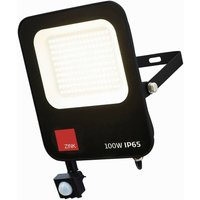 Forum Lighting - Forum Clara pir 100W 6500k LED-Flutlicht für den Außenbereich, Schwarz und Anthrazit, IP65 von FORUM LIGHTING