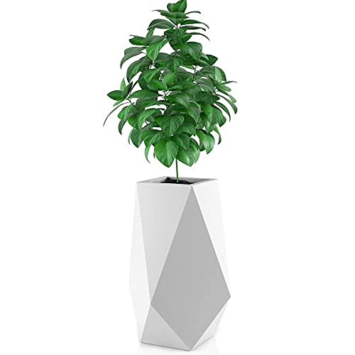 Forvega, Volcano, hoher Pflanzkübel ohne Ablage, modernes Design, langlebig, frost- und UV-beständig, Polyethylen, weiß, 80 cm von FORVEGA