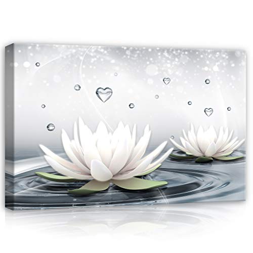 Forwall Leinwandbild Kunstdruck Wandbild Wasser-Lilien AFPP2523O4 (60cm x 40cm) Canvas Picture Print von Forwall