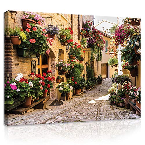 FORWALL Bilder Canvas Gasse mit Blumen O1 (100cm. x 75cm.) Leinwandbilder Wandbild AMFPP20527O1 von FORWALL