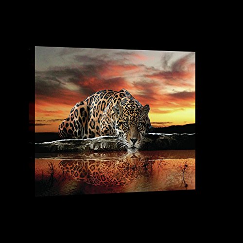 ForWall Bilder Canvas Jaguar und Sonnenuntergang O1 (100cm. x 75cm.) Leinwandbilder Wandbild AMFPP101O1 von ForWall