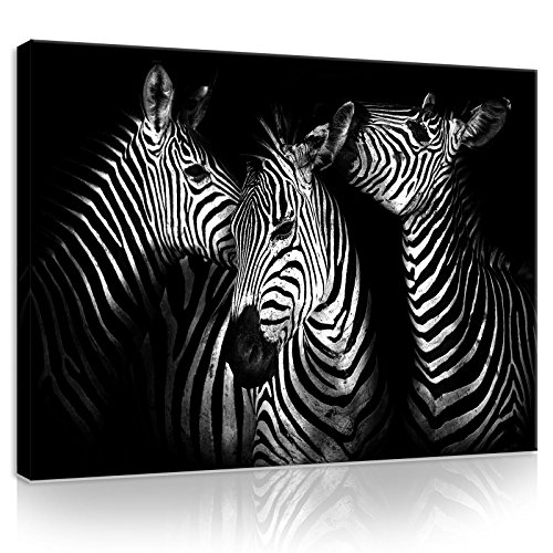 ForWall Leinwandbild Schwarz und weiß Tiere Zebra - 100x75cm Bild auf Leinwand Bilder Canvas Leinwandbilder Wandbild Wandbilder Schlafzimmer Wohnzimmer von ForWall