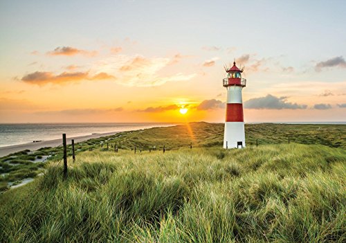 FORWALL Fototapete Strand Meer Nordsee Gräser Leuchtturm Sonne Wohnzimmer Schlafzimmer Vlies Tapete Wandtapete UV-Beständig Hohe Auflösung Montagefertig (11678, V4 (254x184 cm) 2 Bahnen) von FORWALL