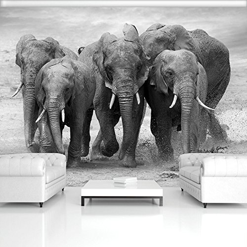 ForWall Fototapete Vlies - Tapete Moderne Wanddeko Elefanten VEXL (208cm. x 146cm.) AMF11578VEXL Wandtapete Design Tapete Wohnzimmer Schlafzimmer von ForWall