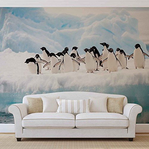 FORWALL Vlies Fototapete Tapete Vliestapete Pinguine AF2726VEM (104cm x 70,5cm) Photo Wallpaper Mural von FORWALL