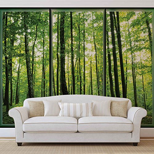 Forwall Vlies Fototapete Tapete Vliestapete Wald Bäume Baum AF495VEXXXL (416cm x 254cm) Photo Wallpaper Mural von Forwall