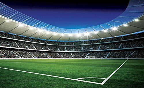 Forwall Fototapete Vlies - Tapete Moderne Wanddeko Fußballplatz VEXXL (312cm. x 219cm.) AMF324VEXXL Wandtapete Design Tapete Wohnzimmer Schlafzimmer von Forwall