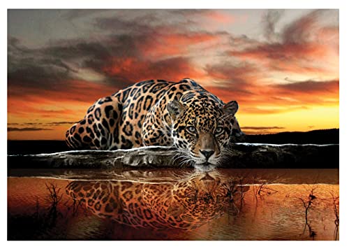 Forwall Fototapete Leopard Afrika Safari Orange Moderne Wohnzimmer Schlafzimmer Vlies Tapete Wandtapete UV-Beständig Hohe Auflösung Montagefertig (126, VEXL (208x146 cm) 2 Bahnen) von FORWALL