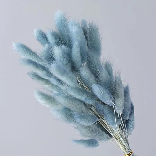 Bunny Tails Getrocknete Blumen,100 Stück 40 cm natürliche getrocknete Blumen, weiß-graue Blumen, echte Kaninchenschwanz-Gras-Blumenstrauß, Blumen-Hochzeits-Arrangement, grau-blau von FOSANGPUSHI