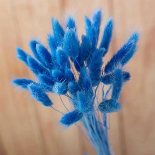Bunny Tails Getrocknete Blumen,100 Stück 45 cm natürliches Kaninchen-Hasenschwanz-Gras, getrockneter Blumenstrauß, Hochzeitsdekoration, künstliche Blumen, Boho-Heimdekoration, Blau von FOSANGPUSHI