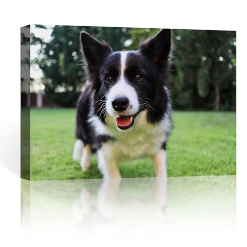 FOSOQIB Foto auf Leinwand - Leinwand Personalisiertes Foto, Hochauflösende Druckqualität, für Vatertag und Muttertag, Größe 25x20 cm von FOSOQIB