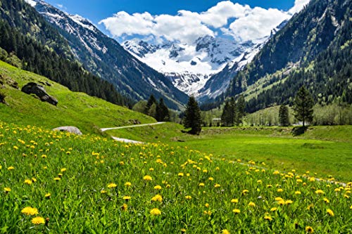 ALPEN Fototapete VLIES-400x260 cm (1395A)-Natur Landschaft Blumen Berge Garten Bäume Gebirge Wandtapete-Inkl. Kleister-Vliestapete Bild Dekoration Wand-Dekor Moderne Motiv-Tapete Panorama Poster XXL von FOTOTAPETENDRUCK