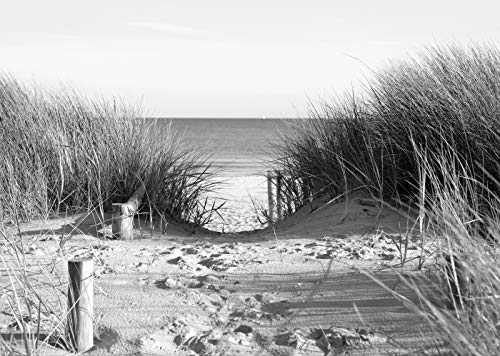 DÜNEN Fototapete VLIES-250x186 cm (1508A)-Nordsee Pier Strand Meer Wüste See Schwarz Weiß Wandtapete-Inkl. Kleister-Vliestapete Bild Dekoration Wand-Dekor Moderne Motiv-Tapete Panorama Poster XXL von FOTOTAPETENDRUCK