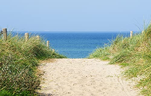 DÜNEN Fototapete VLIES-300x223 cm (313A)-Nordsee Sand Strand Meer Natur Ozean Wüste Landschaft Küste-Inkl. Kleister-Vliestapete Bild Dekoration Wand-Dekor Moderne Motiv-Tapete Panorama Poster XXL von FOTOTAPETENDRUCK