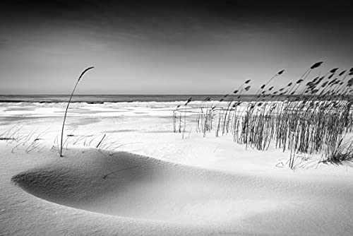 DÜNEN Fototapete VLIES-300x223 cm (6164A)-Nordsee Strand Meer Natur Schwarz Weiß Fotokunst Wandtapete-Inkl. Kleister-Vliestapete Bild Dekoration Wand-Dekor Moderne Motiv-Tapete Panorama Poster XXL von FOTOTAPETENDRUCK